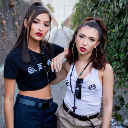 Bad Cop Bad City